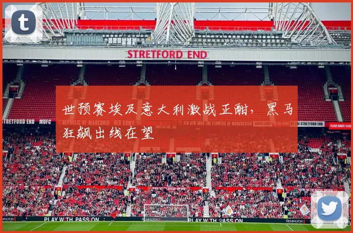 世预赛埃及意大利激战正酣，黑马狂飙出线在望