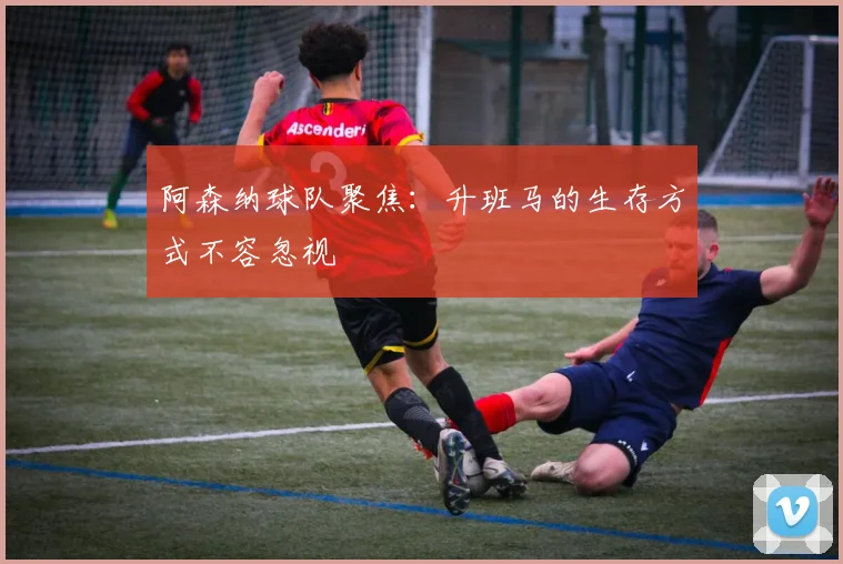 阿森纳球队聚焦：升班马的生存方式不容忽视