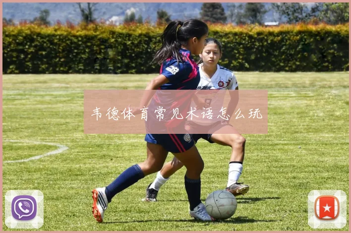韦德体育常见术语怎么玩