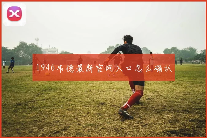 1946韦德最新官网入口怎么确认